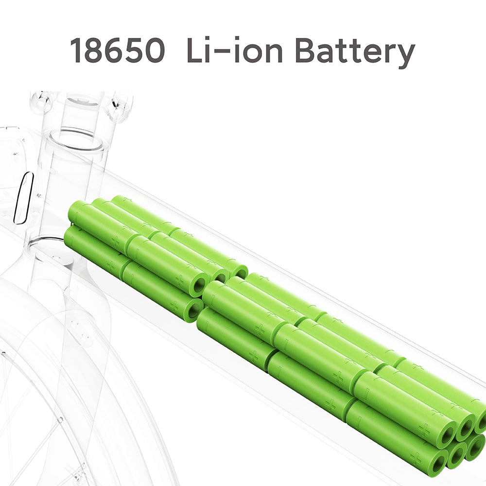 Qicycle battery sales